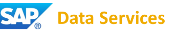 SAP Data Services
